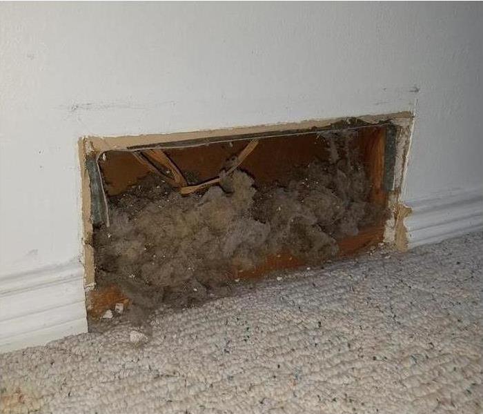 Dust and lint in a home